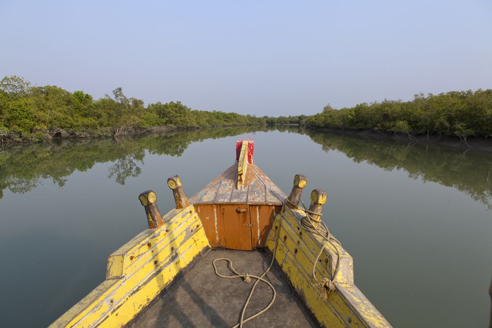 Boat trip in the Sundarbans